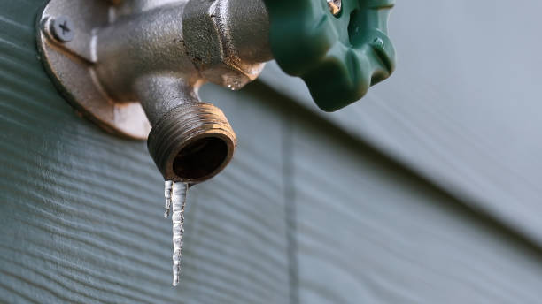 Best Plumbing Inspection Services  in Carthage, NC